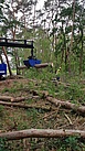 Holz verladen mit dem Zweischalengreifer